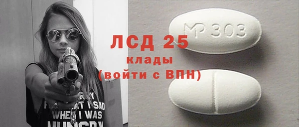 спайс Гусев