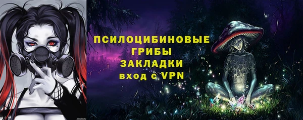 гашик Гусиноозёрск