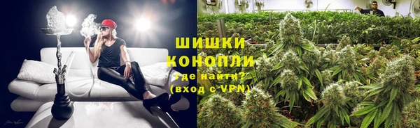 спайс Гусев