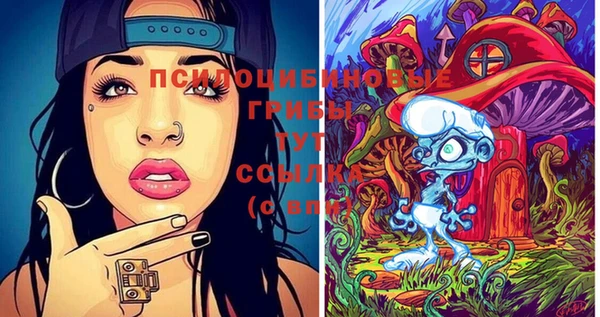 гашик Гусиноозёрск