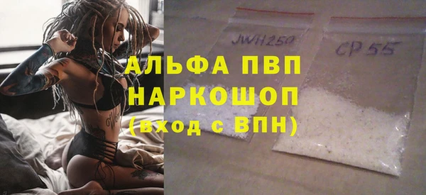 спайс Гусев